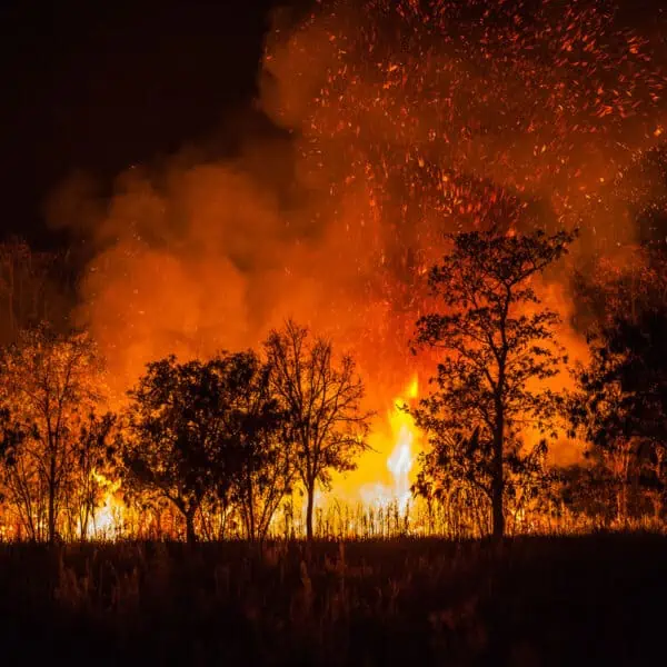 evacuacion por incendios en varias zonas de estados unidos