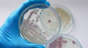 Advierten Sobre Bacteria Peligrosa en New York y Connecticut