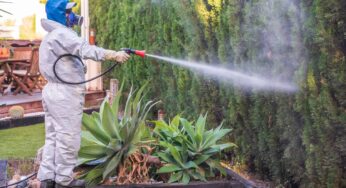 Compañías de Fumigación de Casas en Estados Unidos