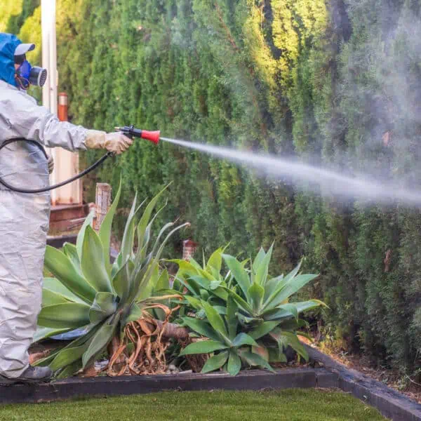 Compañías de Fumigación de Casas en Estados Unidos