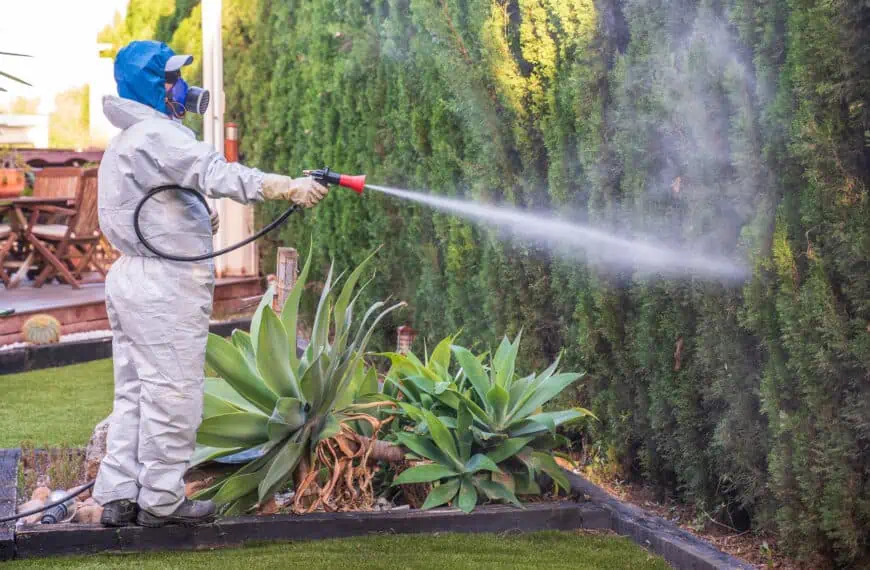 compañias de fumigacion de casas en Estados unidos