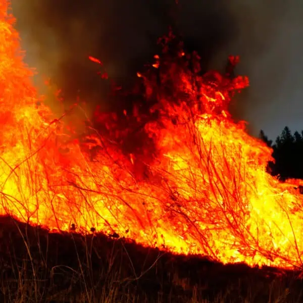 continuan enfrentando incendios en hawai