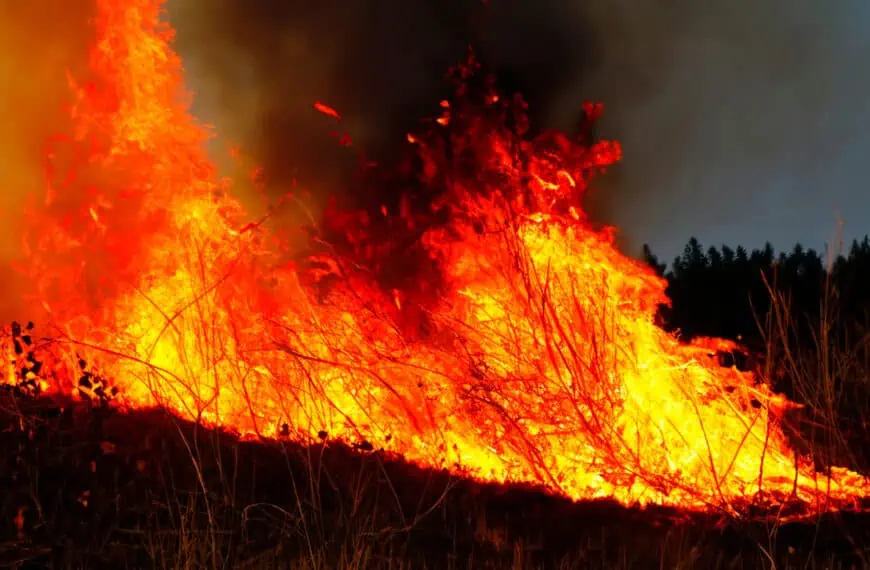 Continúan Enfrentando Incendios de Grandes Proporciones en Hawái